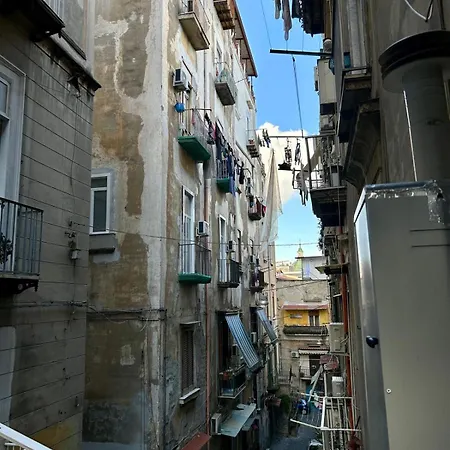 Maison Palu' Vakantiehuis *